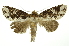  ( - INB0004038510)  @13 [ ] Copyright (2012) Juan Mata Lorenzen Unspecified