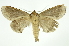  ( - INB0004038510)  @13 [ ] Copyright (2012) Juan Mata Lorenzen Unspecified
