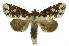  ( - INB0004038512)  @14 [ ] Copyright (2012) Juan Mata Lorenzen Unspecified
