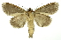  ( - INB0004038512)  @13 [ ] Copyright (2012) Juan Mata Lorenzen Unspecified
