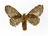  ( - INB0004041588)  @14 [ ] Copyright (2012) J. Montero Instituto Nacional de Biodiversidad