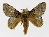  ( - INB0004049757)  @14 [ ] Copyright (2012) J. Montero Instituto Nacional de Biodiversidad