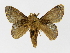  ( - INB0004049757)  @14 [ ] Copyright (2012) J. Montero Instituto Nacional de Biodiversidad