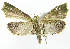  ( - INB0004049803)  @13 [ ] CreativeCommons - Attribution Non-Commercial Share-Alike  National Biodiversity Institute of Costa Rica National Biodiversity Institute of Costa Rica