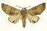  ( - INB0004052333)  @14 [ ] Copyright (2012) J. Montero INBio