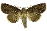  ( - INB0004067352)  @11 [ ] Copyright (2012) Juan Mata Lorenzen Unspecified