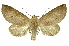  ( - INB0004067902)  @11 [ ] Copyright (2012) Juan Mata Lorenzen INBio