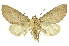 ( - INB0004067902)  @11 [ ] Copyright (2012) Juan Mata Lorenzen INBio