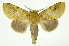  ( - INB0004067905)  @11 [ ] Copyright (2012) Juan Mata Lorenzen Unspecified