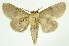  ( - INB0004067905)  @11 [ ] Copyright (2012) Juan Mata Lorenzen Unspecified