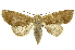 ( - INB0004072481)  @14 [ ] Copyright (2012) Juan Mata Lorenzen Unspecified