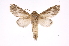  ( - INB0004073183)  @14 [ ] Copyright (2012) I. Chacon Instituto Nacional de Biodiversidad