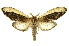  ( - INB0004073362)  @14 [ ] Copyright (2012) Juan Mata Lorenzen Unspecified