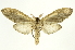  ( - INB0004073362)  @14 [ ] Copyright (2012) Juan Mata Lorenzen Unspecified
