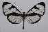  ( - INB0004073400)  @14 [ ] CreativeCommons - Attribution Non-Commercial Share-Alike (2012) National Biodiversity Institute of Costa Rica National Biodiversity Institute of Costa Rica