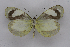  ( - INB0004073454)  @14 [ ] CreativeCommons - Attribution Non-Commercial Share-Alike (2012) National Biodiversity Institute of Costa Rica National Biodiversity Institute of Costa Rica