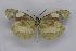  ( - INB0004073462)  @15 [ ] CreativeCommons - Attribution Non-Commercial Share-Alike (2012) National Biodiversity Institute of Costa Rica National Biodiversity Institute of Costa Rica