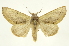 ( - INB0004073471)  @11 [ ] Copyright (2012) Juan Mata Lorenzen Unspecified