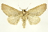  ( - INB0004073471)  @11 [ ] Copyright (2012) Juan Mata Lorenzen Unspecified