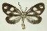  ( - INB0004075810)  @13 [ ] Copyright (2012) Juan Mata Lorenzen Unspecified