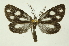  ( - INB0004075825)  @11 [ ] Copyright (2012) Juan Mata Lorenzen Unspecified