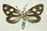  ( - INB0004075825)  @11 [ ] Copyright (2012) Juan Mata Lorenzen Unspecified