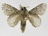  ( - INB0004078383)  @12 [ ] Copyright (2012) J. Montero Instituto Nacional de Biodiversidad