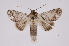 ( - INB0004078394)  @14 [ ] Copyright (2012) I. Chacon Instituto Nacional de Biodiversidad