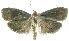  ( - INB0004078535)  @12 [ ] CreativeCommons - Attribution Non-Commercial Share-Alike (2012) National Biodiversity Institute of Costa Rica National Biodiversity Institute of Costa Rica