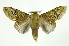  ( - INB0004078601)  @12 [ ] Copyright (2012) Juan Mata Lorenzen Unspecified