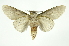  ( - INB0004078601)  @12 [ ] Copyright (2012) Juan Mata Lorenzen Unspecified