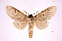  ( - INB0004078606)  @13 [ ] Copyright (2012) I. Chacon Instituto Nacional de Biodiversidad
