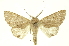 ( - INB0004079392)  @14 [ ] Copyright (2012) Juan Mata Lorenzen INBio