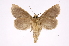 ( - INB0004080912)  @13 [ ] Copyright (2012) I. Chacon Instituto Nacional de Biodiversidad