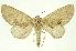  ( - INB0004080954)  @11 [ ] Copyright (2012) Juan Mata Lorenzen INBio