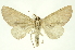  ( - INB0004080954)  @11 [ ] Copyright (2012) Juan Mata Lorenzen INBio