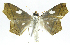  ( - INB0004080999)  @13 [ ] CreativeCommons - Attribution Non-Commercial Share-Alike (2012) National Biodiversity Institute of Costa Rica National Biodiversity Institute of Costa Rica