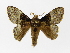  ( - INB0004081022)  @14 [ ] Copyright (2012) J. Montero Instituto Nacional de Biodiversidad