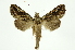  ( - INB0004091326)  @11 [ ] Copyright (2012) Juan Mata Lorenzen Unspecified