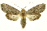  ( - INB0004091410)  @14 [ ] Copyright (2012) Juan Mata Lorenzen Unspecified