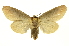  ( - INB0004091439)  @13 [ ] Copyright (2012) J. Montero INBio
