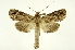 ( - INB0004098417)  @14 [ ] Copyright (2012) Juan Mata Lorenzen Unspecified