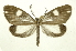  ( - INB0004101744)  @14 [ ] Copyright (2012) Juan Mata Lorenzen Unspecified