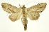  ( - INB0004102227)  @13 [ ] Copyright (2012) Juan Mata Lorenzen Unspecified