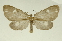  ( - INB0004103561)  @14 [ ] Copyright (2012) Juan Mata Lorenzen Unspecified