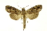  ( - INB0004103694)  @14 [ ] Copyright (2012) Juan Mata Lorenzen Unspecified