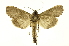  ( - INB0004103694)  @14 [ ] Copyright (2012) Juan Mata Lorenzen Unspecified