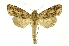  ( - INB0004103728)  @14 [ ] Copyright (2012) Juan Mata Lorenzen Unspecified