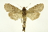 ( - INB0004103728)  @14 [ ] Copyright (2012) Juan Mata Lorenzen Unspecified