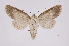  ( - INB0004103808)  @13 [ ] Copyright (2012) I. Chacon Instituto Nacional de Biodiversidad